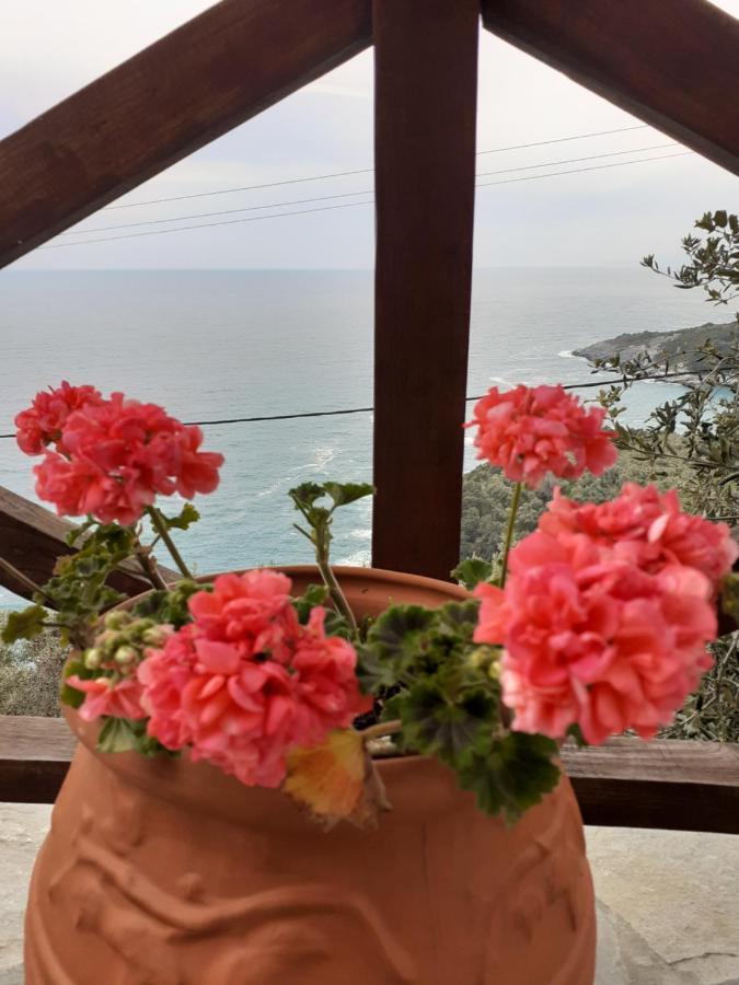 Xorychti Limnionas Sunviewヴィラ エクステリア 写真